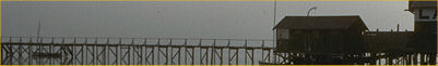 Peer Banner